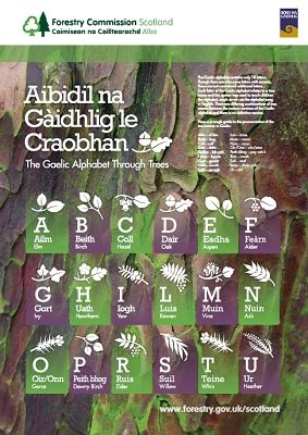 gaelic-alphabet-poster